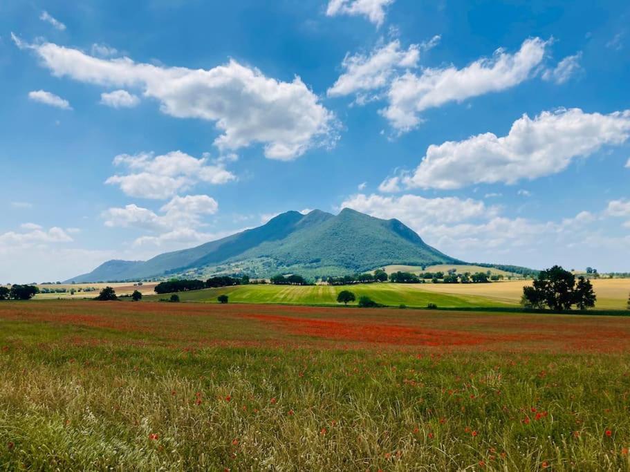 Il Cottage Di Stella Incantevole Appartamento Sant'Oreste Exteriér fotografie